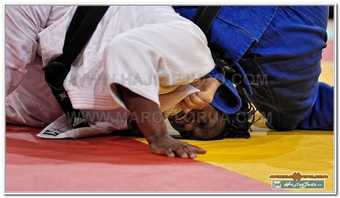 Grand Slam Paris 2013 Judo